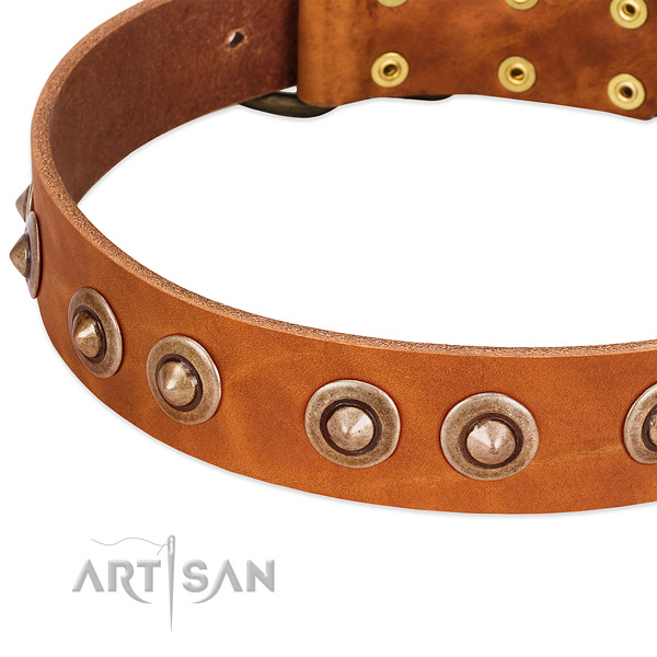 Rust resistant hardware on genuine leather dog collar for your pet
