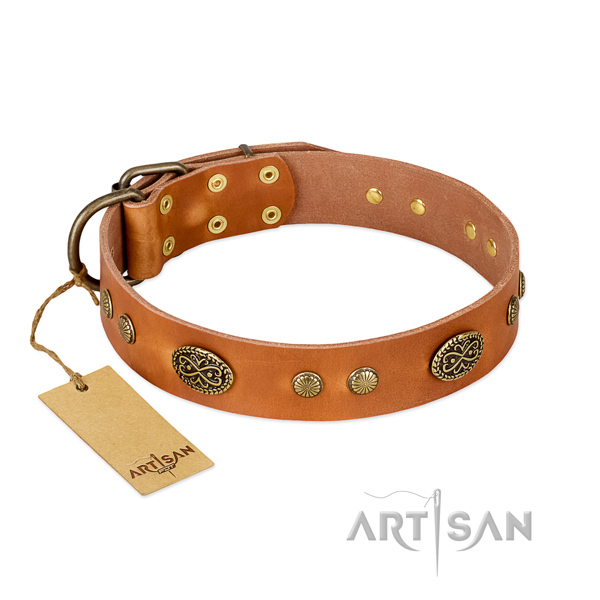Corrosion resistant adornments on genuine leather dog collar for your pet