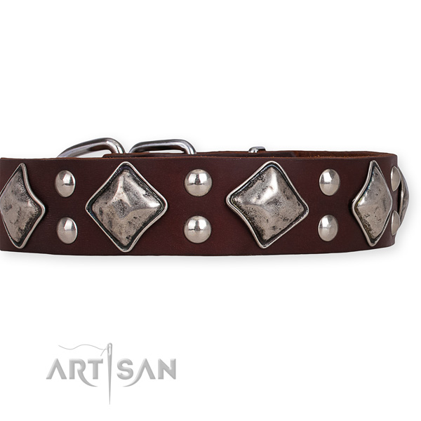 Full grain natural leather dog collar with impressive rust-proof decorations