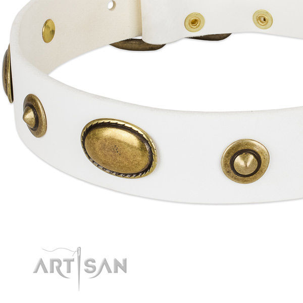 Corrosion proof hardware on full grain genuine leather dog collar for your canine
