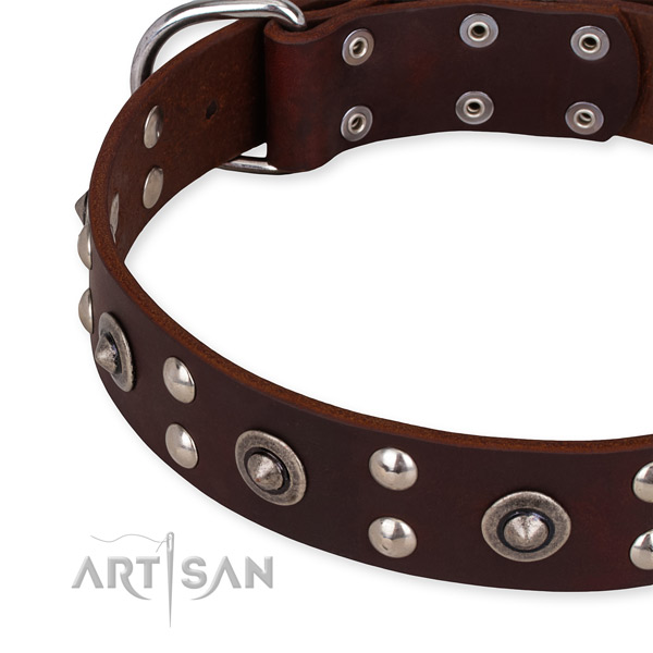 Leather collar with strong traditional buckle for your lovely pet