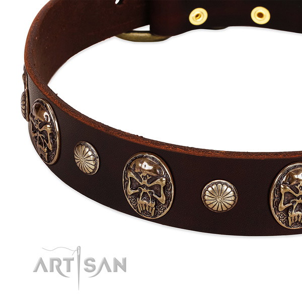 Full grain genuine leather dog collar with embellishments for daily use