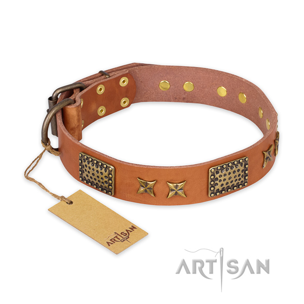 Unique leather dog collar with durable D-ring