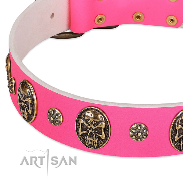 Comfortable dog collar made for your impressive doggie