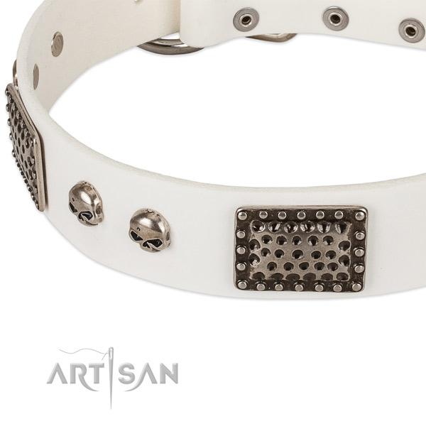 Durable traditional buckle on full grain leather dog collar for your dog