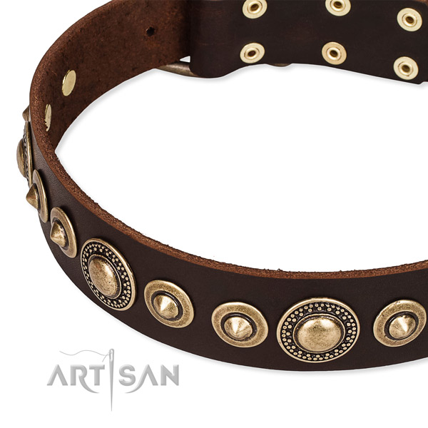 Gentle to touch genuine leather dog collar made for your stylish pet