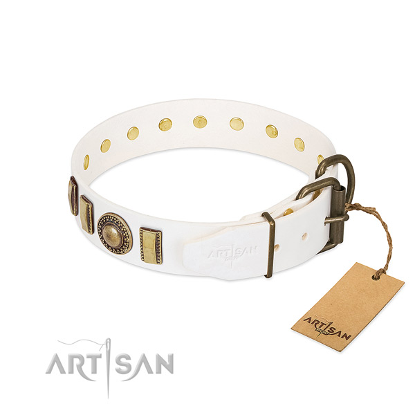 Stunning full grain natural leather dog collar with reliable fittings