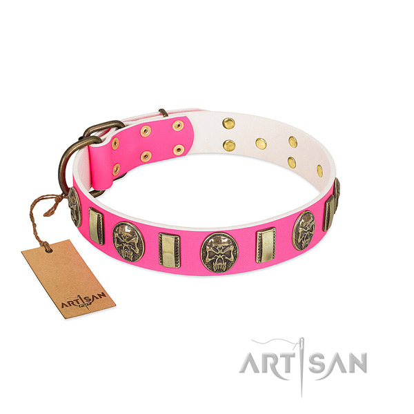 Corrosion proof traditional buckle on full grain genuine leather dog collar for your pet