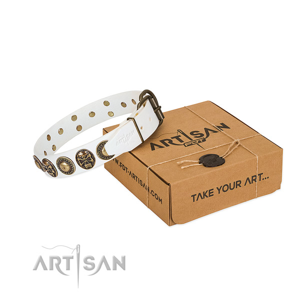 Rust resistant studs on dog collar for everyday walking