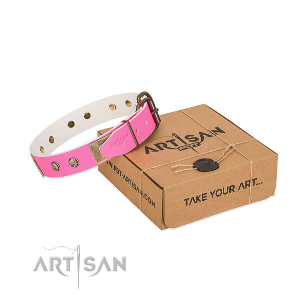 Strong decorations on dog collar for everyday walking