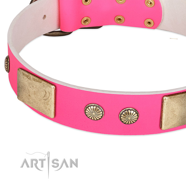 Reliable studs on natural leather dog collar for your four-legged friend