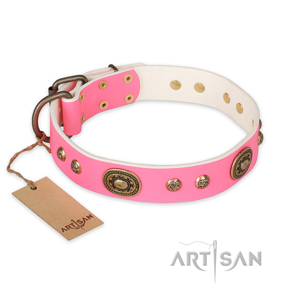 Designer full grain leather dog collar for daily use