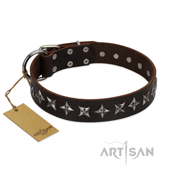 Daily use dog collar of finest quality genuine leather with embellishments