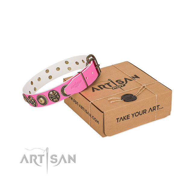 Reliable studs on dog collar for walking