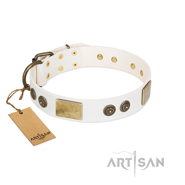 Convenient full grain leather dog collar for everyday use