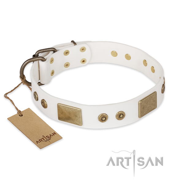 Adorned full grain natural leather dog collar for everyday walking
