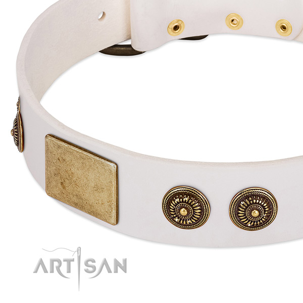 Comfortable dog collar handcrafted for your impressive dog