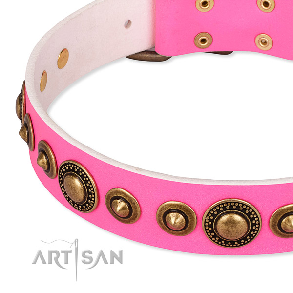 Soft leather dog collar crafted for your handsome dog