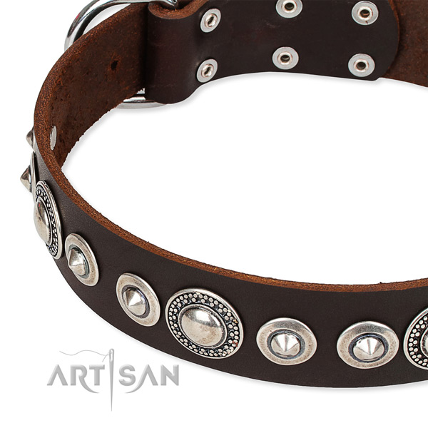 Easy wearing studded dog collar of strong full grain natural leather