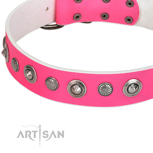 Natural leather collar with durable D-ring for your lovely canine