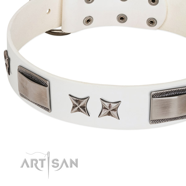 Quality full grain natural leather dog collar with durable fittings
