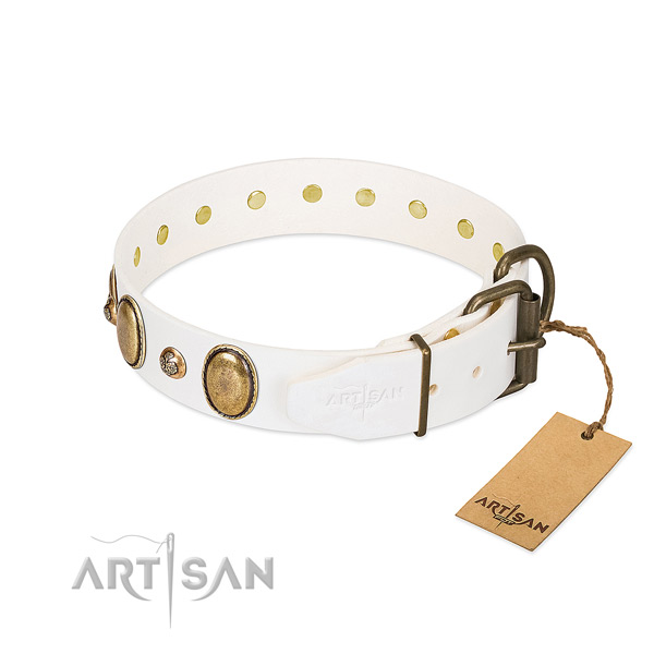 Everyday walking genuine leather dog collar