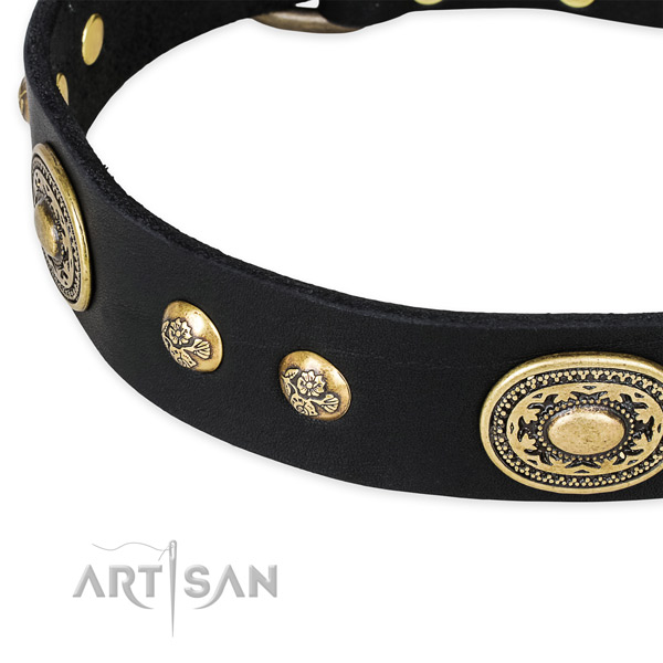 Extraordinary genuine leather collar for your beautiful dog