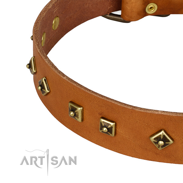 Top quality full grain natural leather collar for your impressive dog