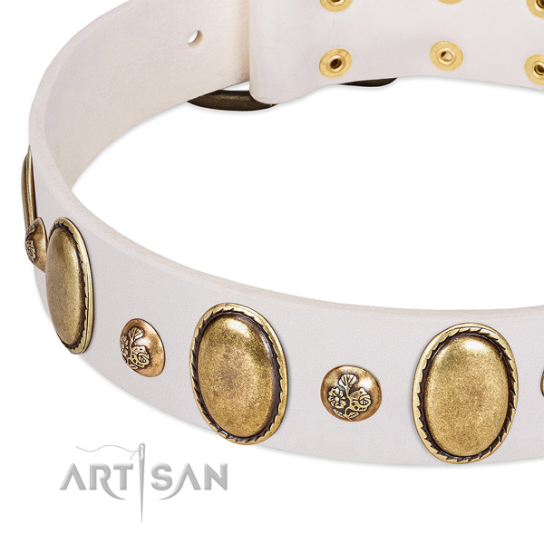 Full grain leather dog collar with incredible decorations