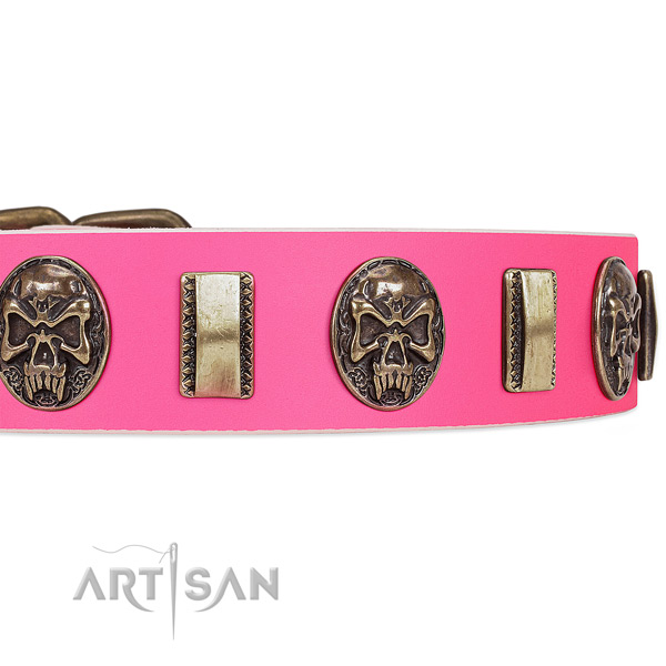 Reliable decorations on full grain natural leather dog collar for your four-legged friend