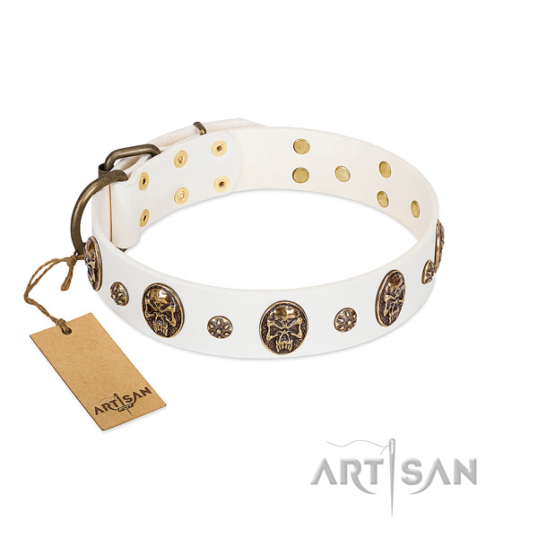 Studded full grain natural leather collar for your pet