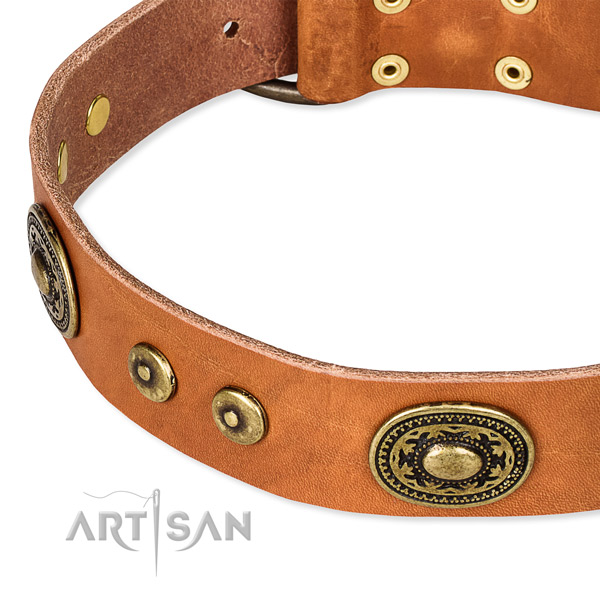 Full grain natural leather dog collar made of top notch material with studs