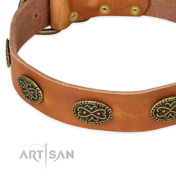 Stylish design full grain natural leather collar for your impressive four-legged friend