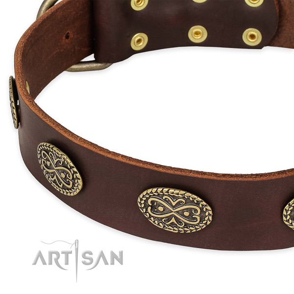 Stylish full grain natural leather collar for your lovely doggie