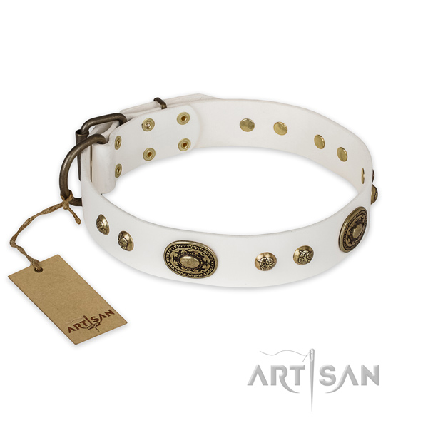 Best quality leather dog collar for fancy walking