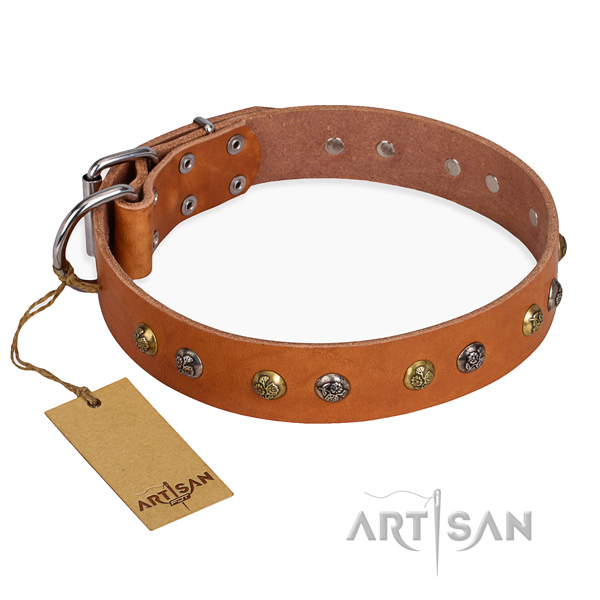 Fancy walking perfect fit dog collar with corrosion proof hardware