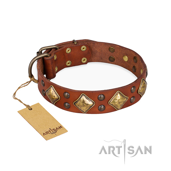 Easy wearing decorated dog collar with reliable buckle