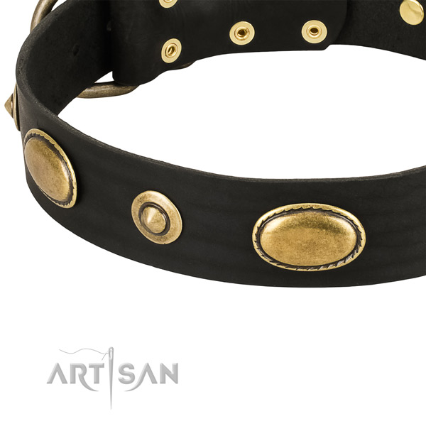 Corrosion proof studs on full grain leather dog collar for your four-legged friend