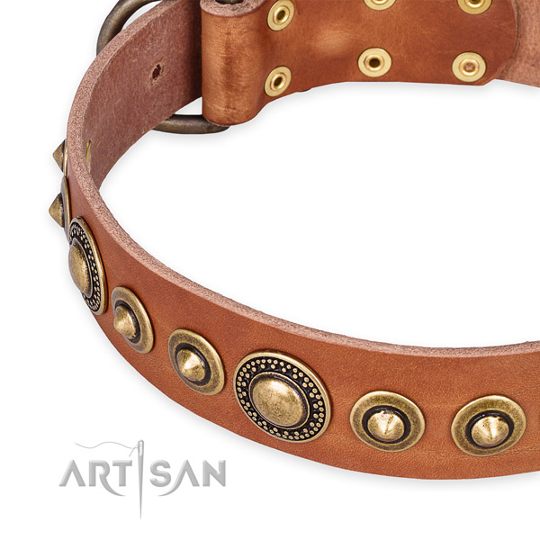 Reliable full grain leather dog collar handcrafted for your attractive pet