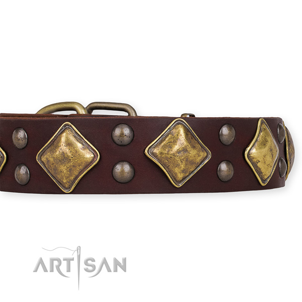 Natural leather dog collar with exquisite corrosion proof studs