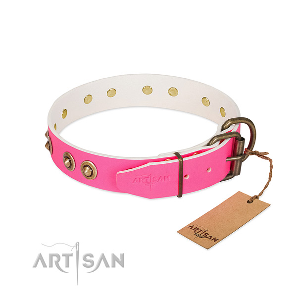 Full grain genuine leather dog collar with reliable fittings and studs