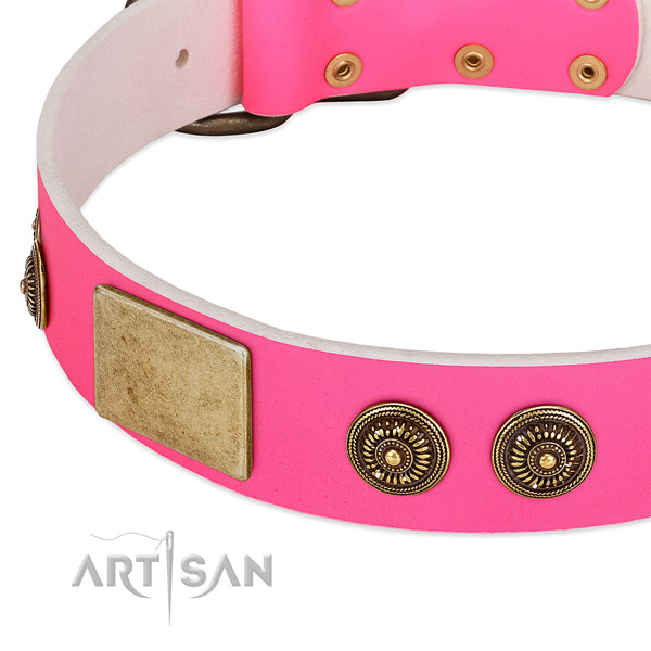 Stylish design dog collar handcrafted for your attractive pet