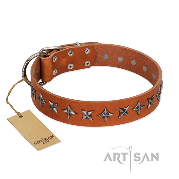 Daily use dog collar of strong natural leather with studs