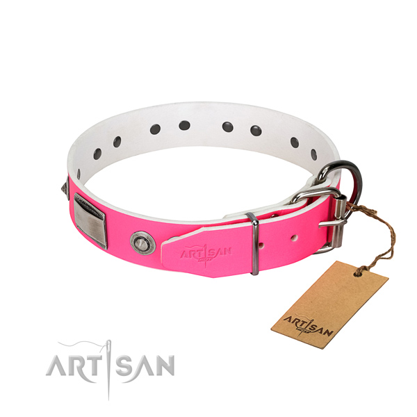 Fine quality dog collar of leather with embellishments