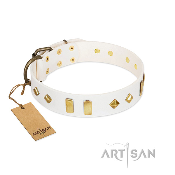 Daily use top rate full grain natural leather dog collar with embellishments