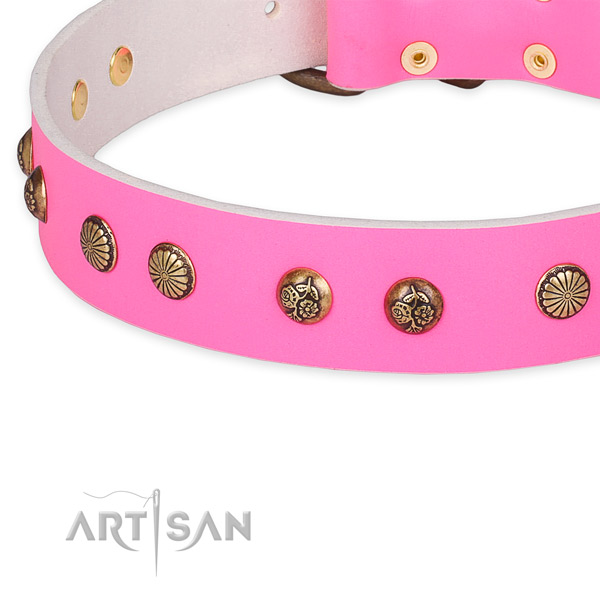 Perfect fit genuine leather collar for your impressive pet