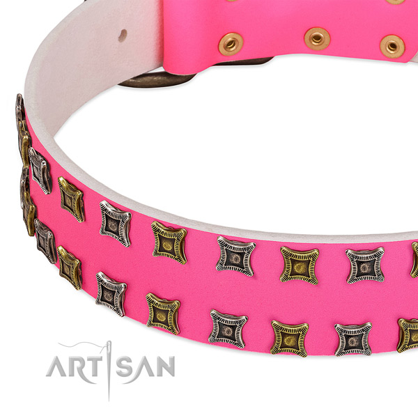 Genuine leather dog collar with incredible adornments