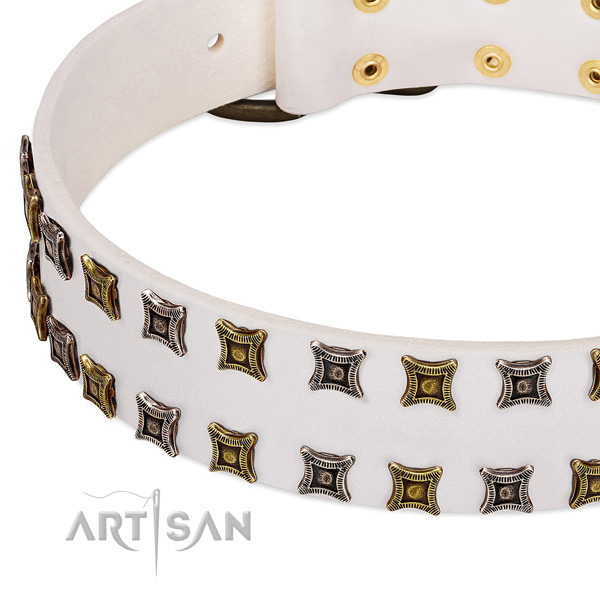 Full grain leather dog collar with studs for your lovely doggie