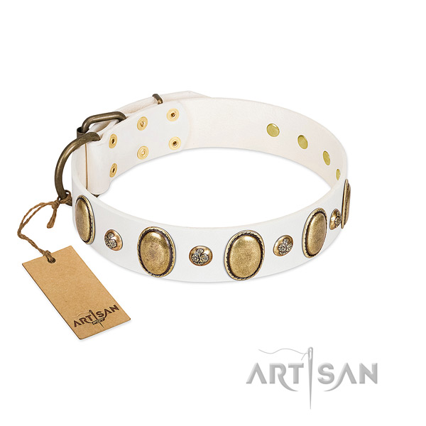 Genuine leather dog collar of best quality material with amazing studs