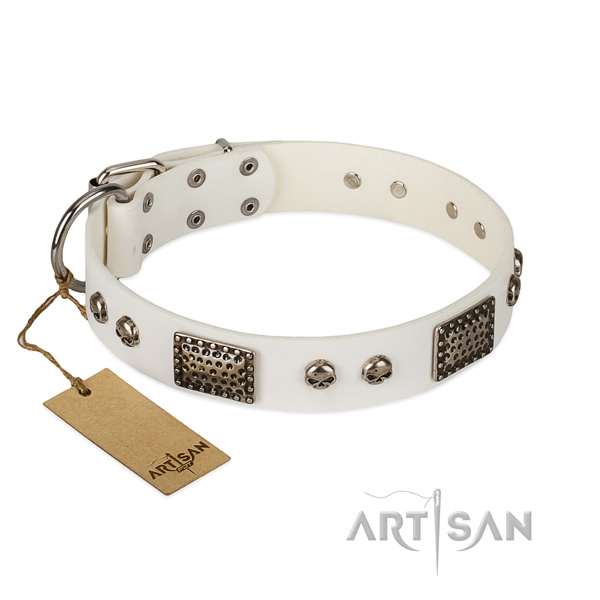 Easy wearing leather dog collar for walking your pet